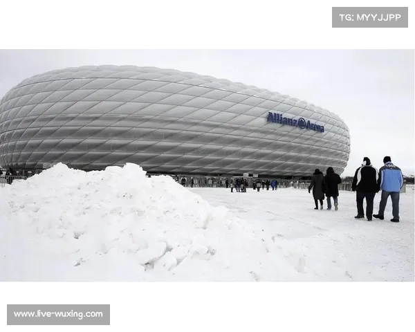 历史回顾：二十年前，德甲联赛如何应对类似的严寒天气大规模赛程调整